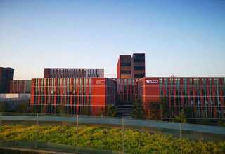 浙江文艺复兴美术发展史